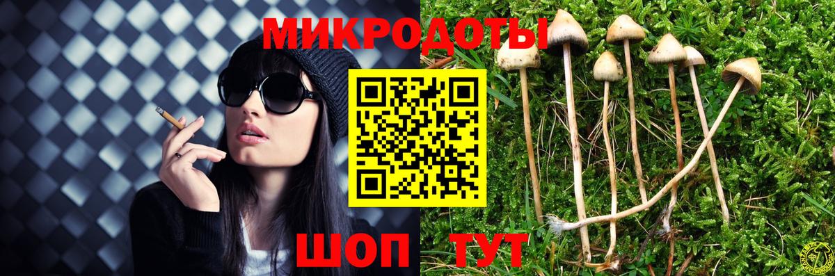 Псилоцибиновые грибы GOLDEN TEACHER  Вход с VPN  Одинцово 